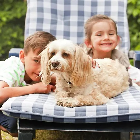 Ferienhaus Holiday Park Müritz, Rechlin-nord *